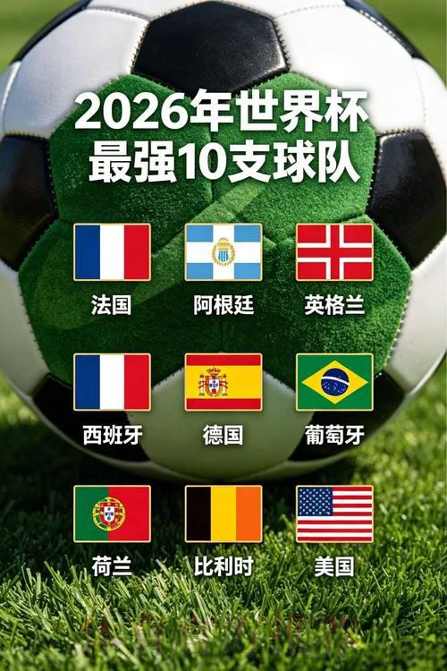 2026世界杯夺冠热门球队深度解析与完整赛程前瞻