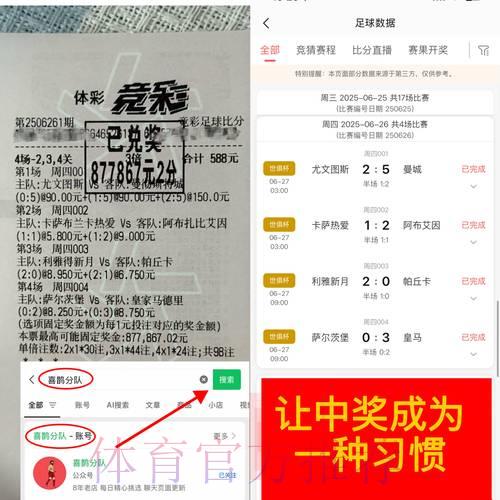世界杯竞猜达人心得：规避风险实现稳健收益策略